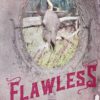 Flawless (Chestnut Springs ) Book 1 :- by Elsie Silver